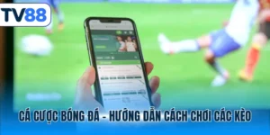 Cá cược bóng đá Tv88