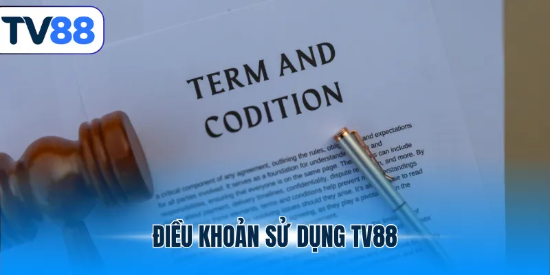 Điều Khoản Sử Dụng TV88 - Quy Định Hội Viên Cần Nắm Rõ