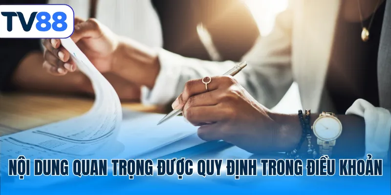 Nội dung quan trọng được quy định trong điều khoản tv88