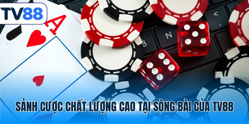 Sảnh cược chất lượng cao tại sòng bài của TV88
