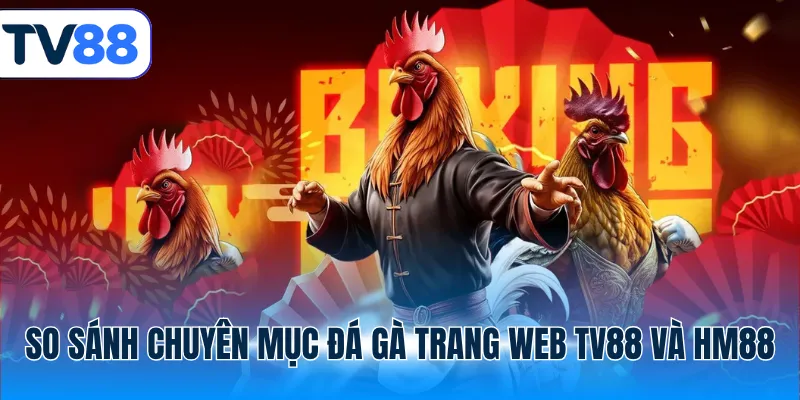 So sánh chuyên mục đá gà trang web TV88 và HM88