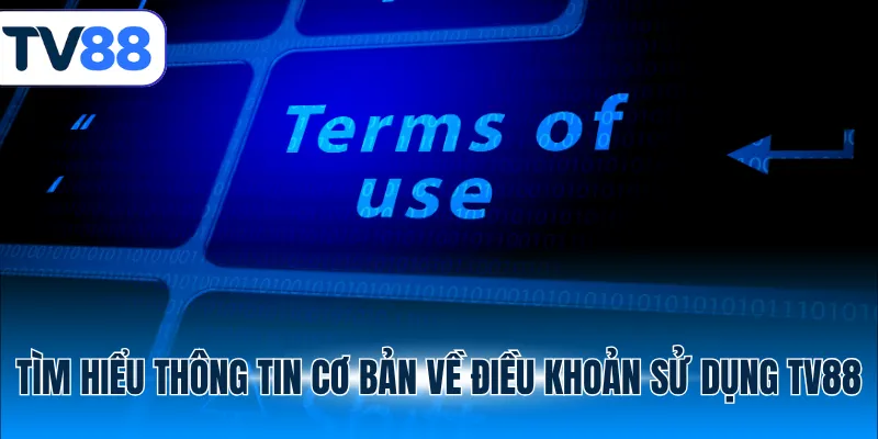 Tìm hiểu thông tin cơ bản về điều khoản sử dụng TV88